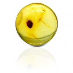 Natural Amber Stone 2.28 Carat