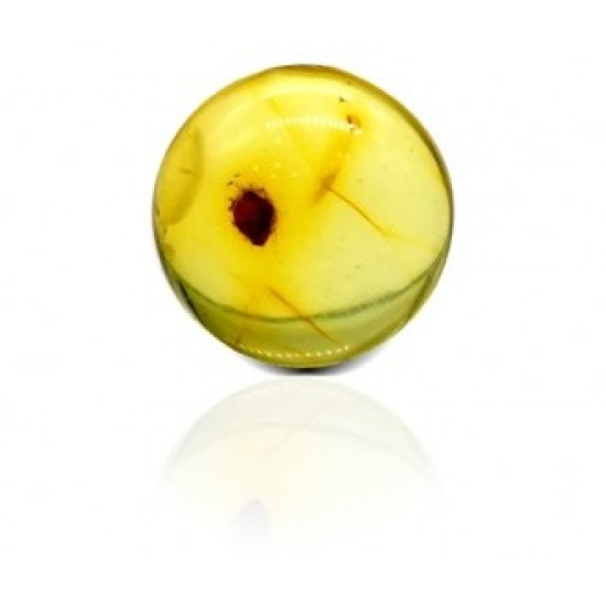 Natural Amber Stone 2.28 Carat