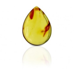 Natural Amber stone 7.46 carat