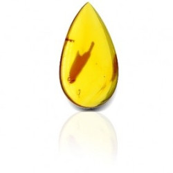 Natural Amber stone 7.77 carat
