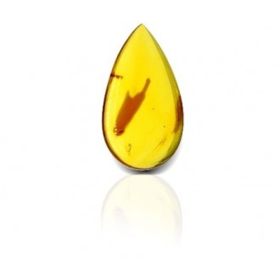 Natural Amber stone 7.77 carat