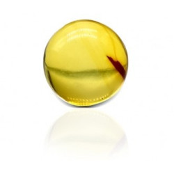 Natural Amber Stone 1.60 Carat