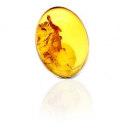 Natural Amber