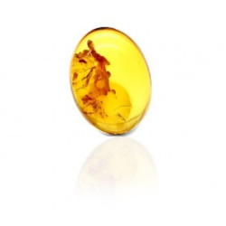 Natural Amber
