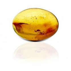 Natural Amber