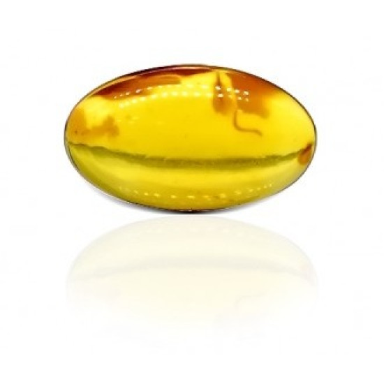 Natural Amber