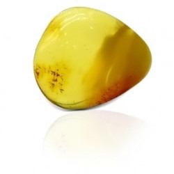Natural Amber