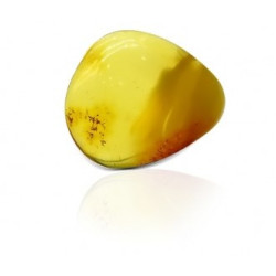 Natural Amber