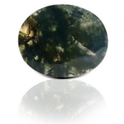 Blood Stone 48.96 Carat