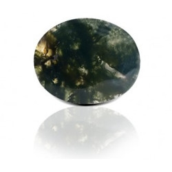 Blood Stone 48.96 Carat