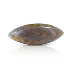 Botswana Agate Stone 9.82 Carat