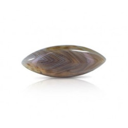 Botswana Agate Stone 9.82 Carat