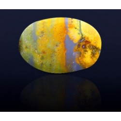 Bumblebee Jasper Stone 43.94 Carat