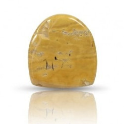 Ocean Jasper Stone 31.45 Carat