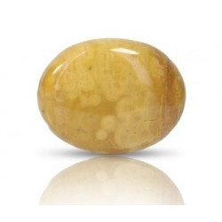 Ocean Jasper Stone 38.91 Carat