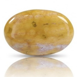Ocean Jasper Stone 35.12 Carat