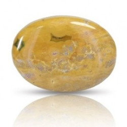 Ocean Jasper Stone 40.16 Carat