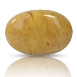 Ocean Jasper Stone 45.28 Carat