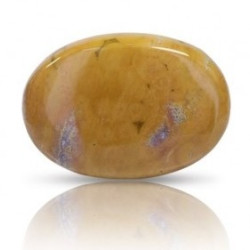 Ocean Jasper Stone 48.30 Carat