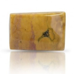 Ocean Jasper Stone 31.60 Carat