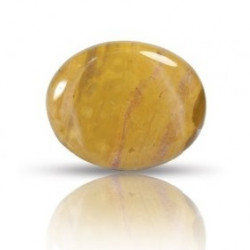 Ocean Jasper Stone 45.95 Carat