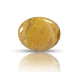 Ocean Jasper Stone 45.95 Carat