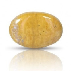 Ocean Jasper Stone 36.61 Carat