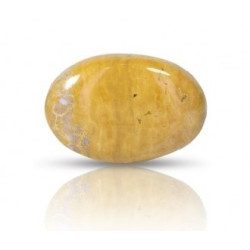 Ocean Jasper Stone 36.61 Carat