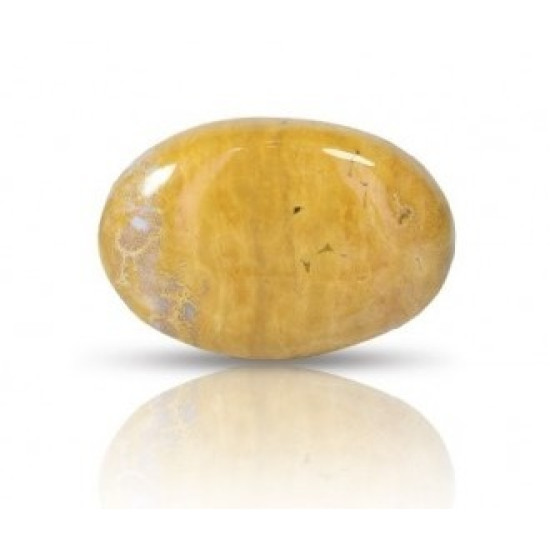 Ocean Jasper Stone 36.61 Carat