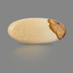 Picture Jasper 25.96 Carat