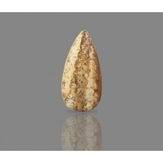 Picture Jasper 25.91 Carat