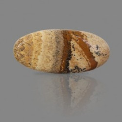 Picture Jasper 21.57 Carat