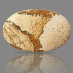 Picture Jasper 22.03 Carat