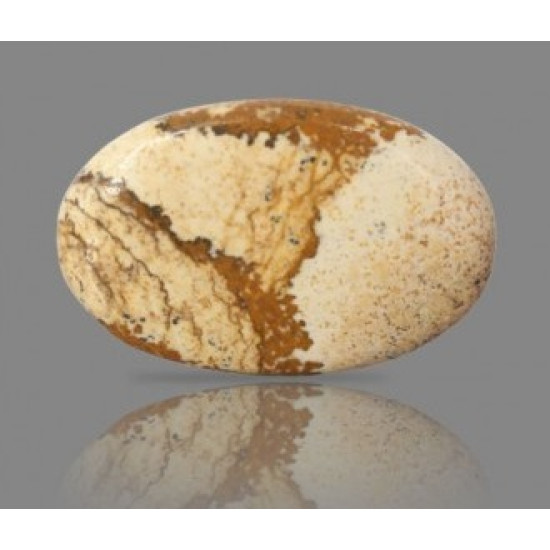 Picture Jasper 22.03 Carat