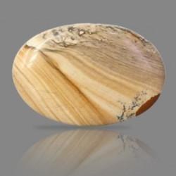 Picture Jasper 48.17 Carat