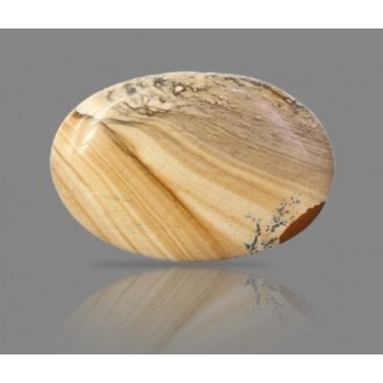 Picture Jasper 48.17 Carat