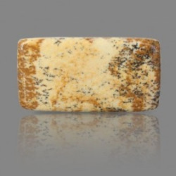 Picture Jasper 17.43 Carat
