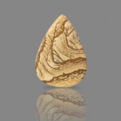 Picture Jasper 52.20 Carat