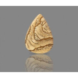 Picture Jasper 52.20 Carat