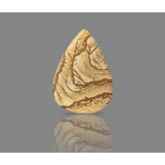 Picture Jasper 52.20 Carat