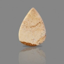 Picture Jasper 22.51 Carat