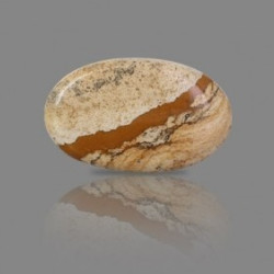 Picture Jasper 85.83Carat