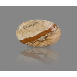 Picture Jasper 85.83Carat