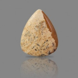 Picture Jasper 25.12 Carat