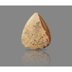 Picture Jasper 25.12 Carat