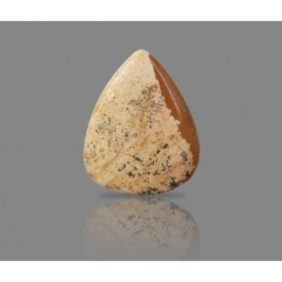 Picture Jasper 25.12 Carat