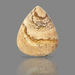 Picture Jasper 25.91  Carat