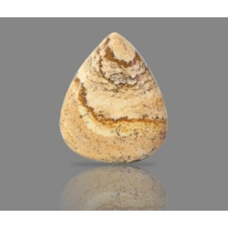 Picture Jasper 25.91  Carat