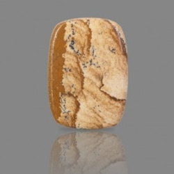 Picture Jasper 26.06  Carat