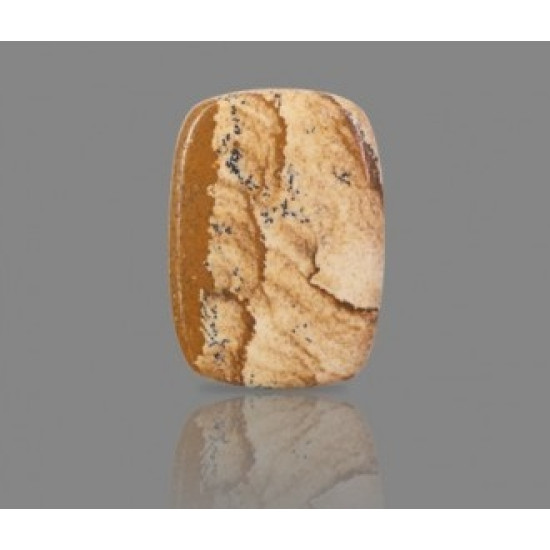 Picture Jasper 26.06  Carat